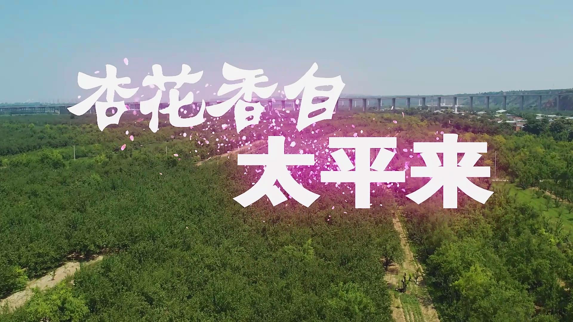 杏花香自太平来